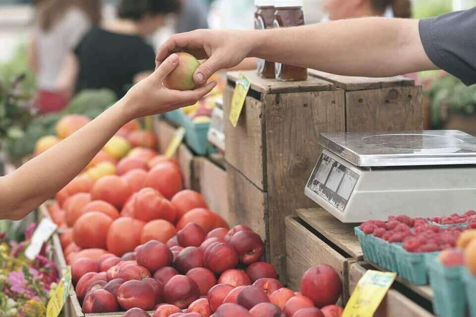 a person buying apples