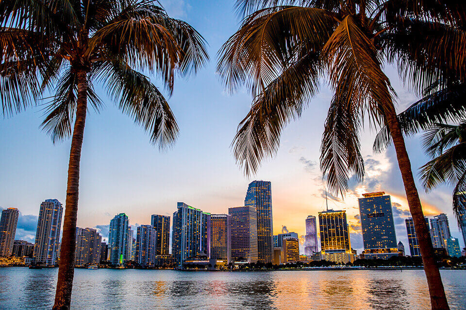 View of beautiful Miami Florida skyline through palm trees