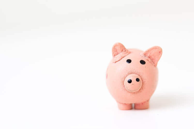 as piggy bank on white background