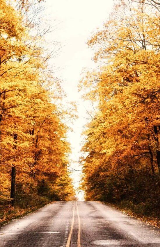 roads at fall