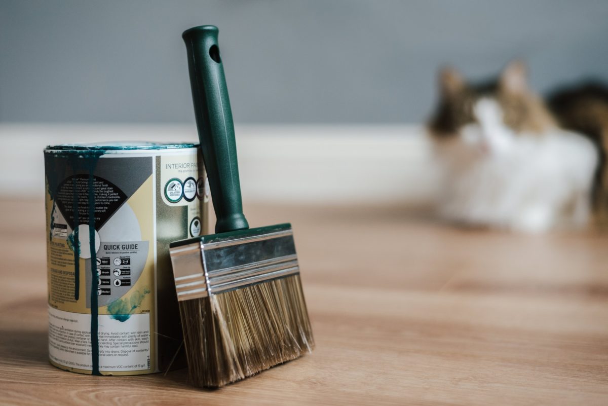 A cat looks at the can of paint and a brush that should be thrown away before long-distance moving
