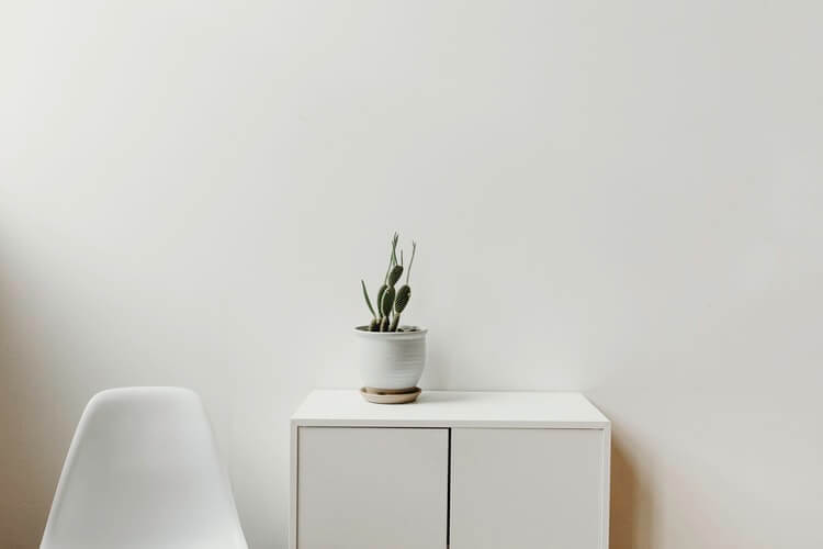 a plant on a white cabinet