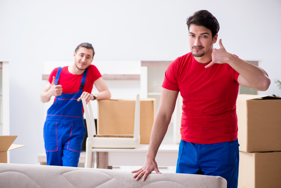 Two professional movers