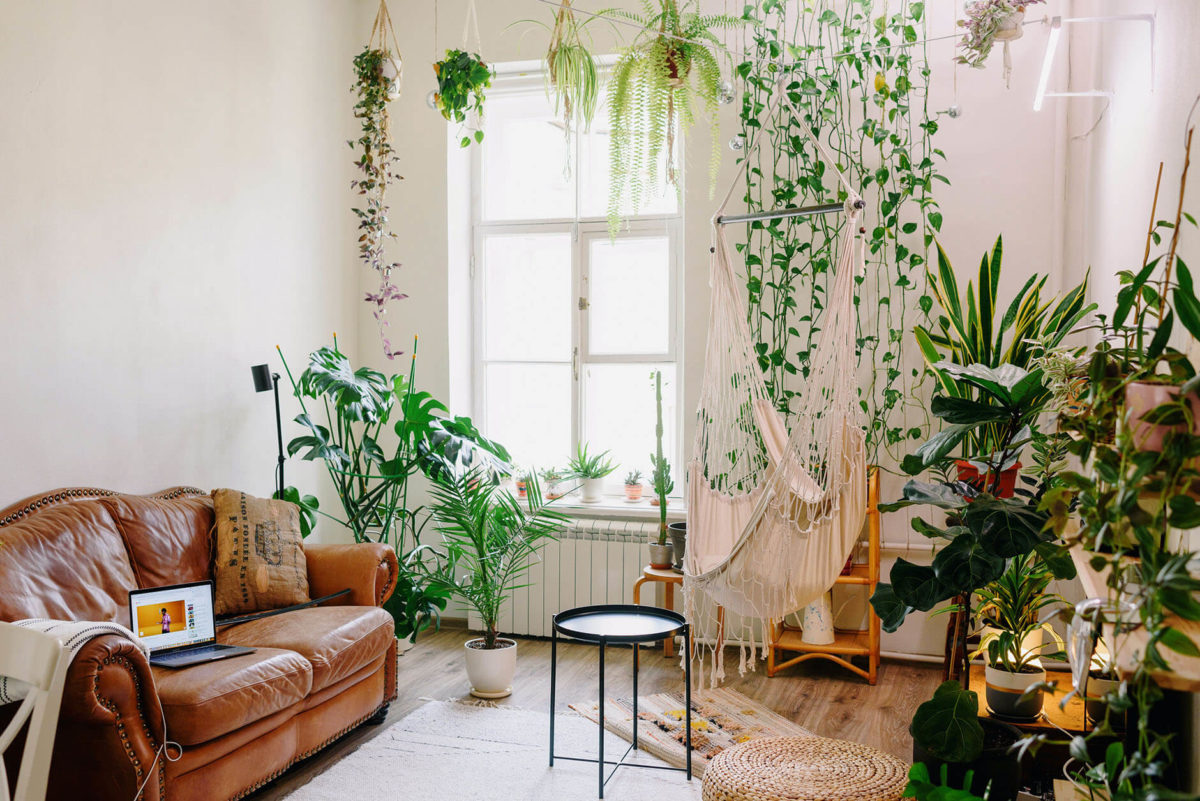 a living room full of plants