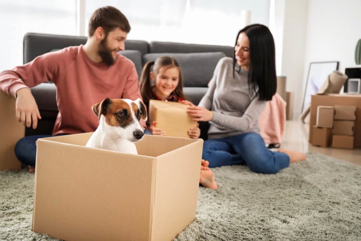 A family packing for cross-country moving with their daughter and dog