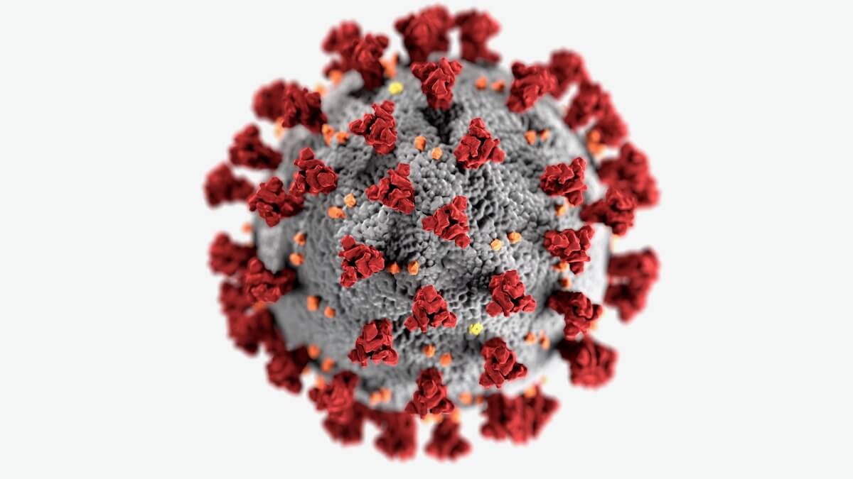 Microscopic picture of coronavirus
