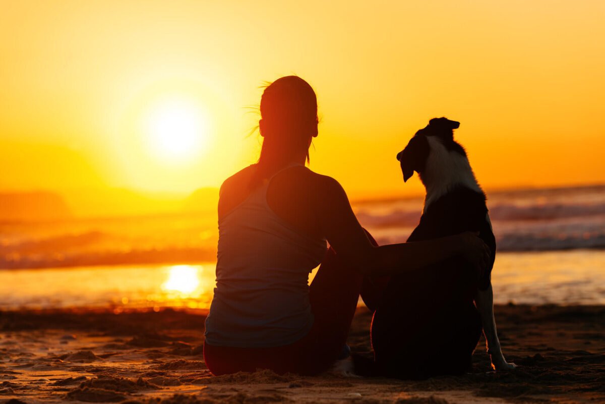Woman and a dog watching the sunset
