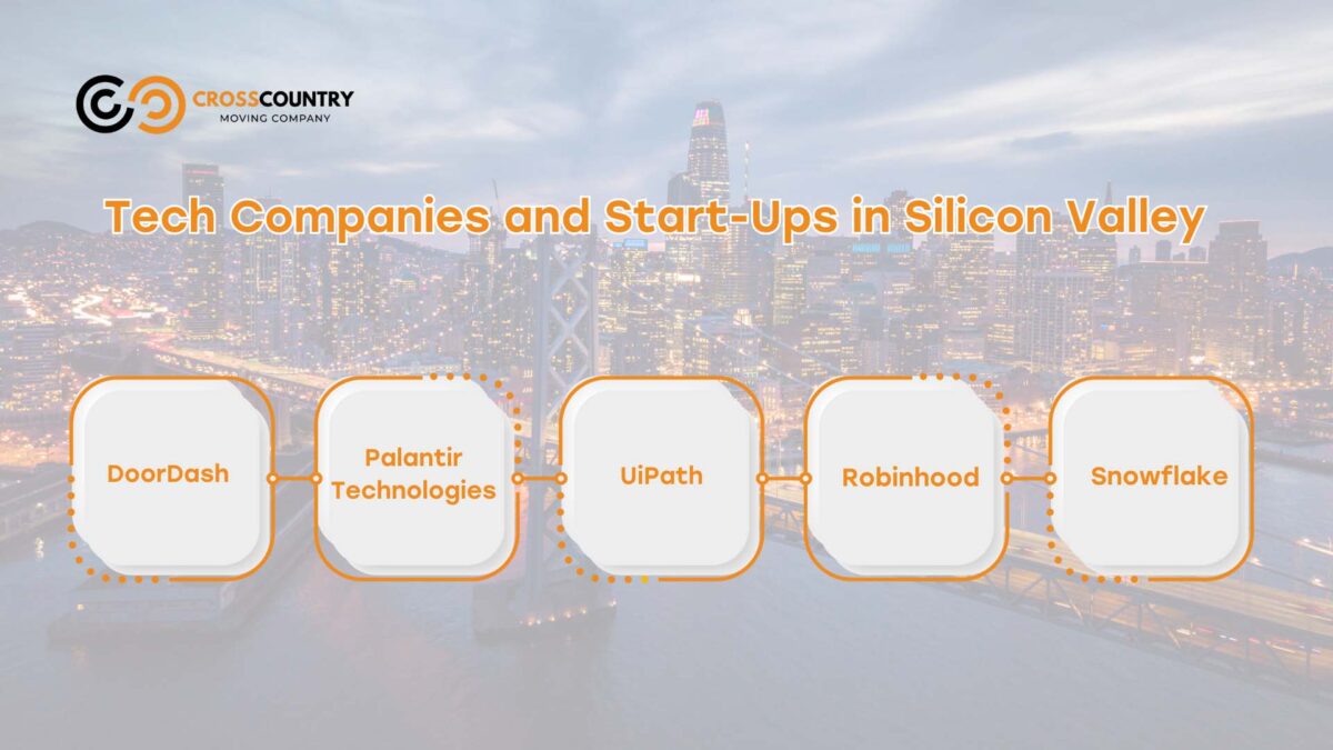 Tech Companies and Start-Ups in Silicon Valley