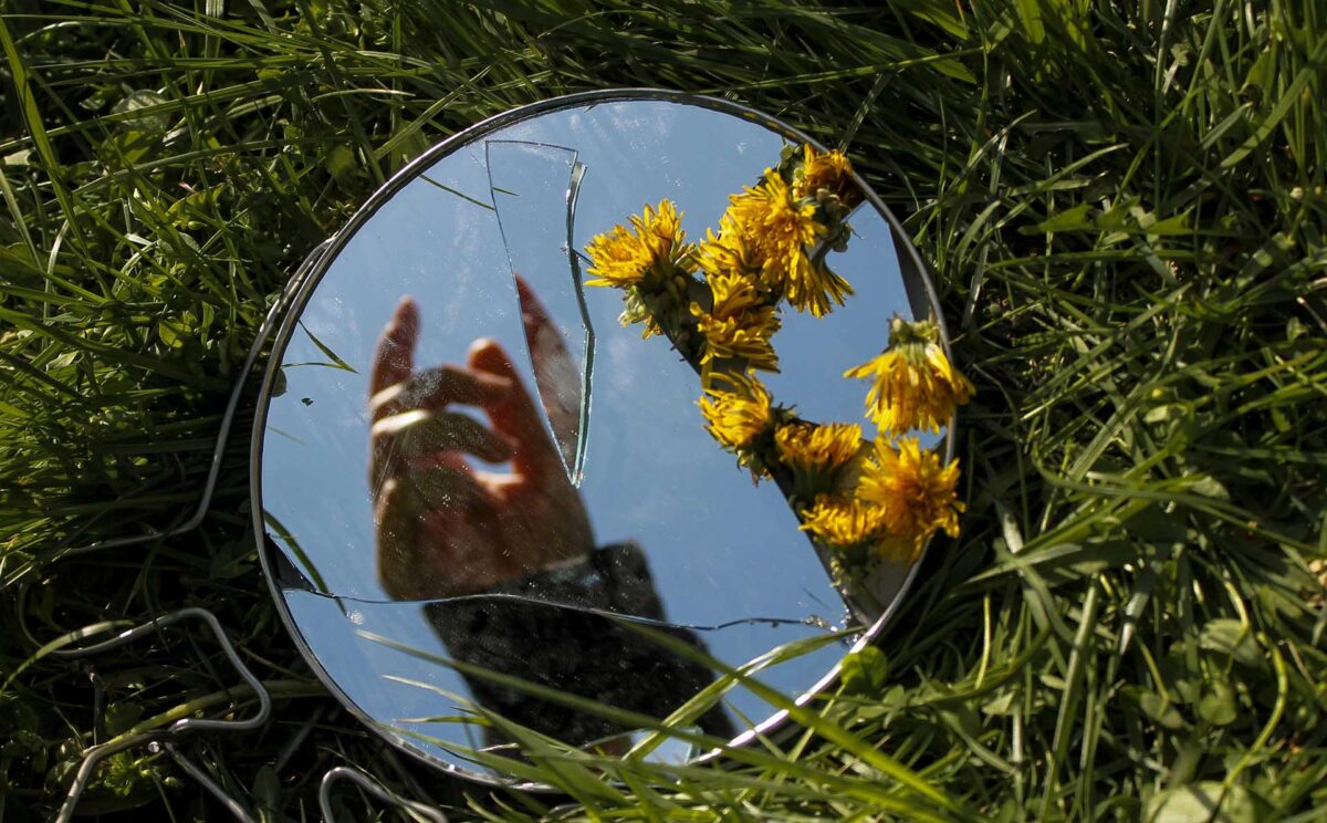 Broken mirror in the grass with yellow flowers