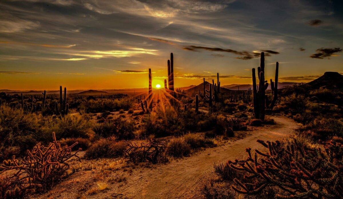 Trail through the desert plain in Scottsdale, Arizona